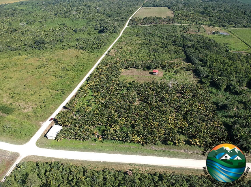 Drone view of 24.42-acre coconut and lime farm, including plantation and warehouse near Spanish Lookout, Belize.