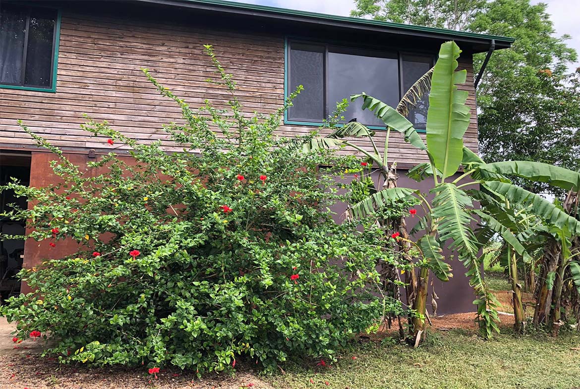 Side view of the property showcasing the house and surroundings.