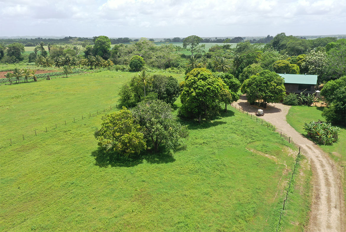 Drone view of the property