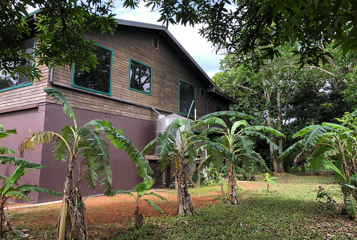 Side view of the property showcasing the house and surroundings.