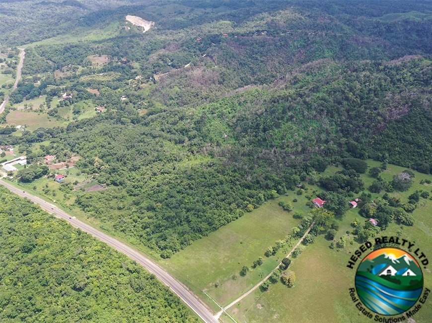 Left-side aerial perspective of the George Price Highway adjacent to the 118-acre parcel in Cayo District.