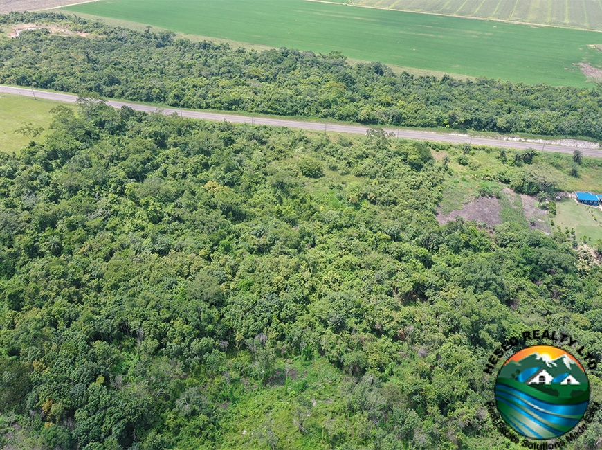 Inside view of the 118-acre property looking towards the George Price Highway, showcasing the lush landscape.