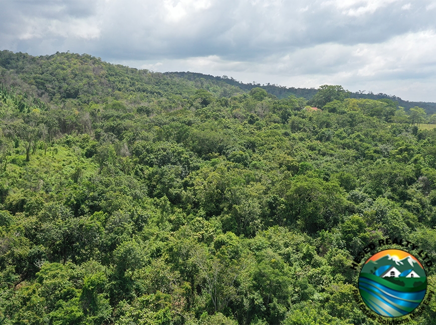 Aerial view of the lush jungle and rolling hills within the 118-acre parcel in Georgeville, highlighting natural beauty.