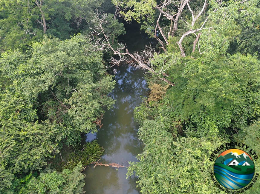 Creek surrounded by trees within the 118-acre parcel, emphasizing the natural environment in Cayo District.