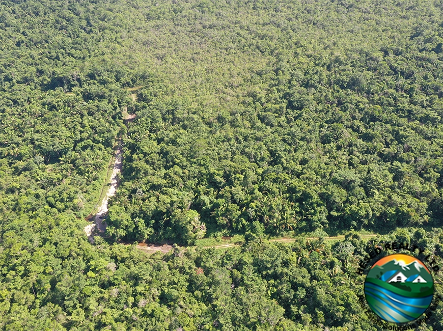 Aerial drone view of the road cutting through the 40-acre property in Silk Grass Village, surrounded by lush green forest.