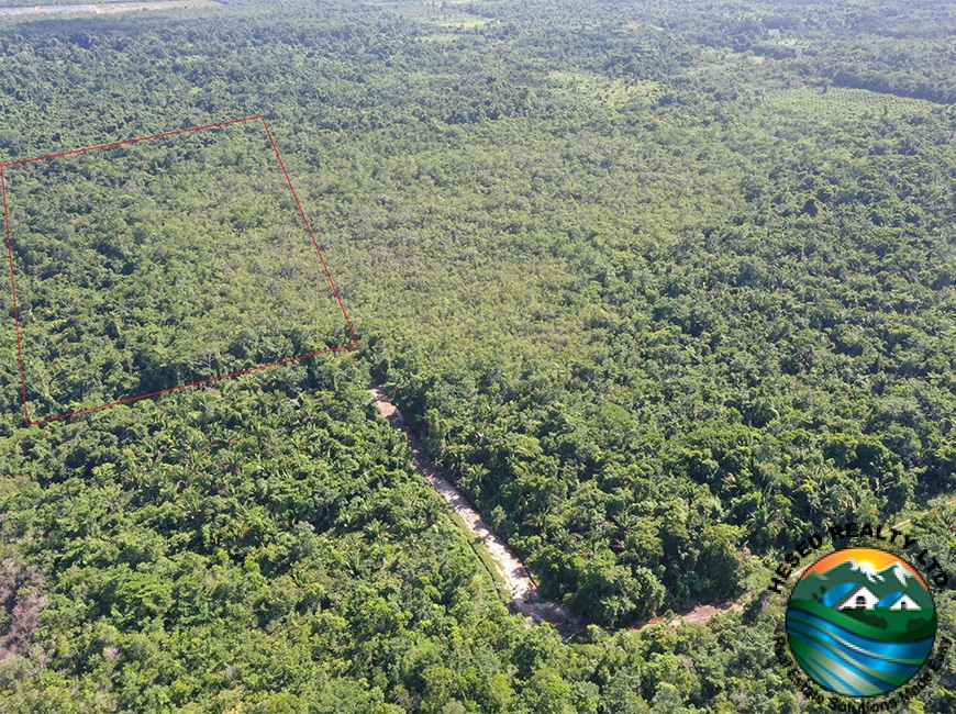 Aerial drone photo highlighting the boundaries and landscape of the 40-acre property in Silk Grass Village.