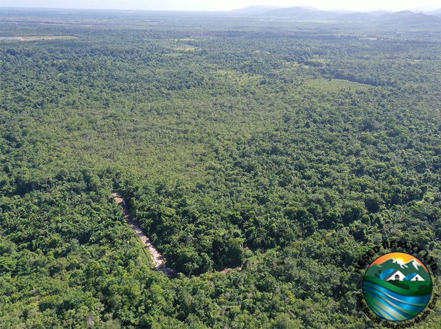 Aerial view of one of the corners of the 40-acre property in Silk Grass Village, showing boundary lines and surrounding greenery.