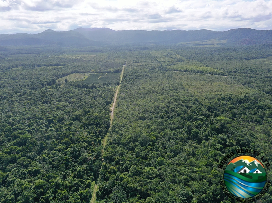 Zoomed-out aerial view of an extensive road leading to the 40-acre property in Silk Grass Village.