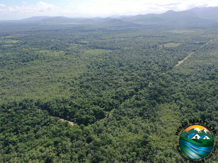 Frontal drone shot showing the curved road running through the forest surrounding the 40-acre property in Silk Grass Village.