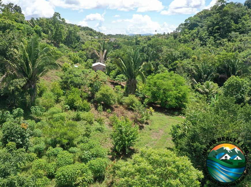 A photo of the gated entrance to a 3-acre property in Agua Viva, offering security and privacy.