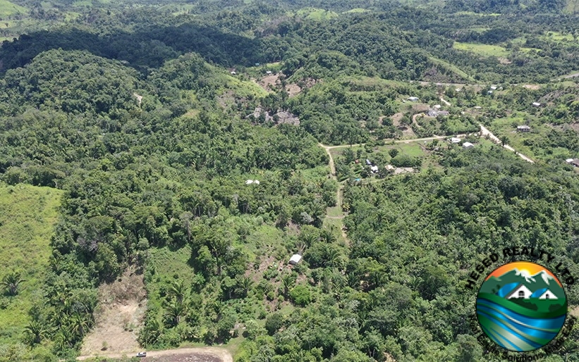 A drone photo showing the east side of the 3-acre property in Agua Viva, displaying open land and trees.