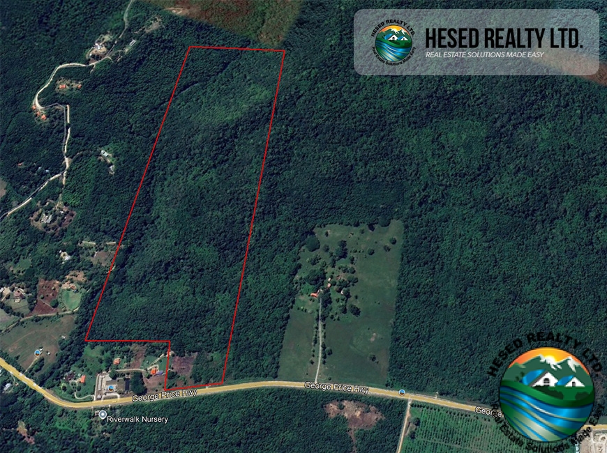 Aerial view of the 118-acre parcel outlined in red, clearly marking the property boundaries in Georgeville Village.