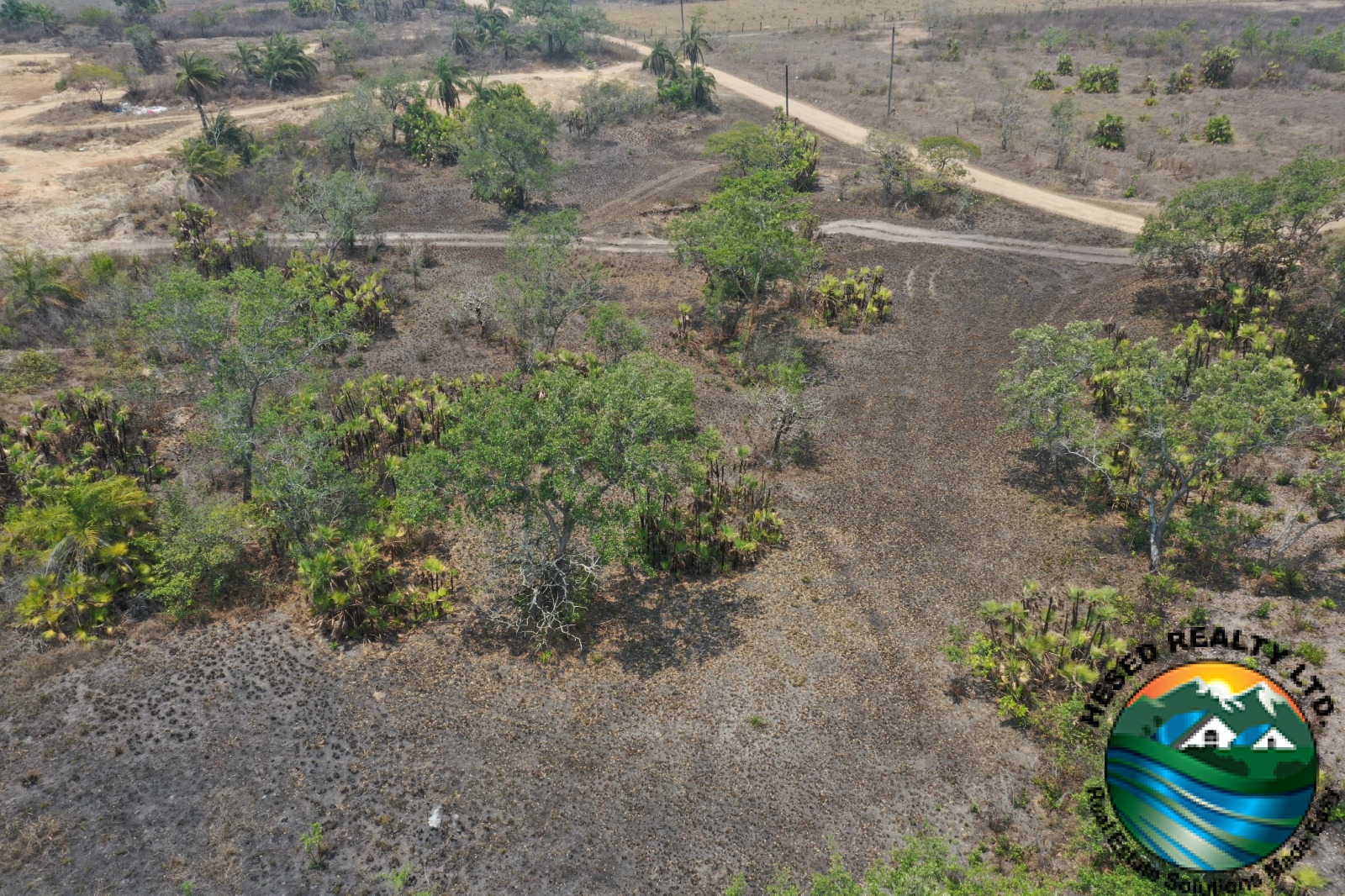 Drone shot of the property in Billy White, Belize, with trees and road access visible.