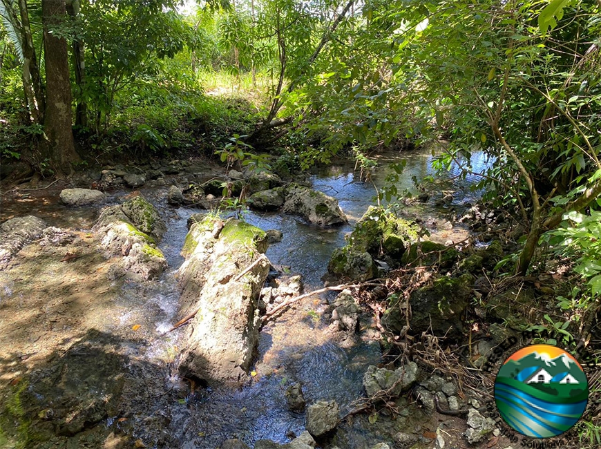 A serene creek flowing through lush vegetation on a 3-acre property in Agua Viva, offering a peaceful natural environment