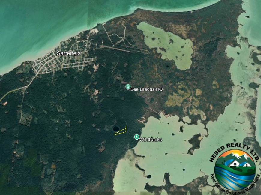 A Google Earth aerial view of the Sarteneja area, featuring a highlighted property outline indicating the 4-acre land parcel. The landscape shows the property's proximity to the coastline and surrounding natural beauty. Keywords: Sarteneja property, coastal land, Belize real estate, 3.96-acre land parcel.