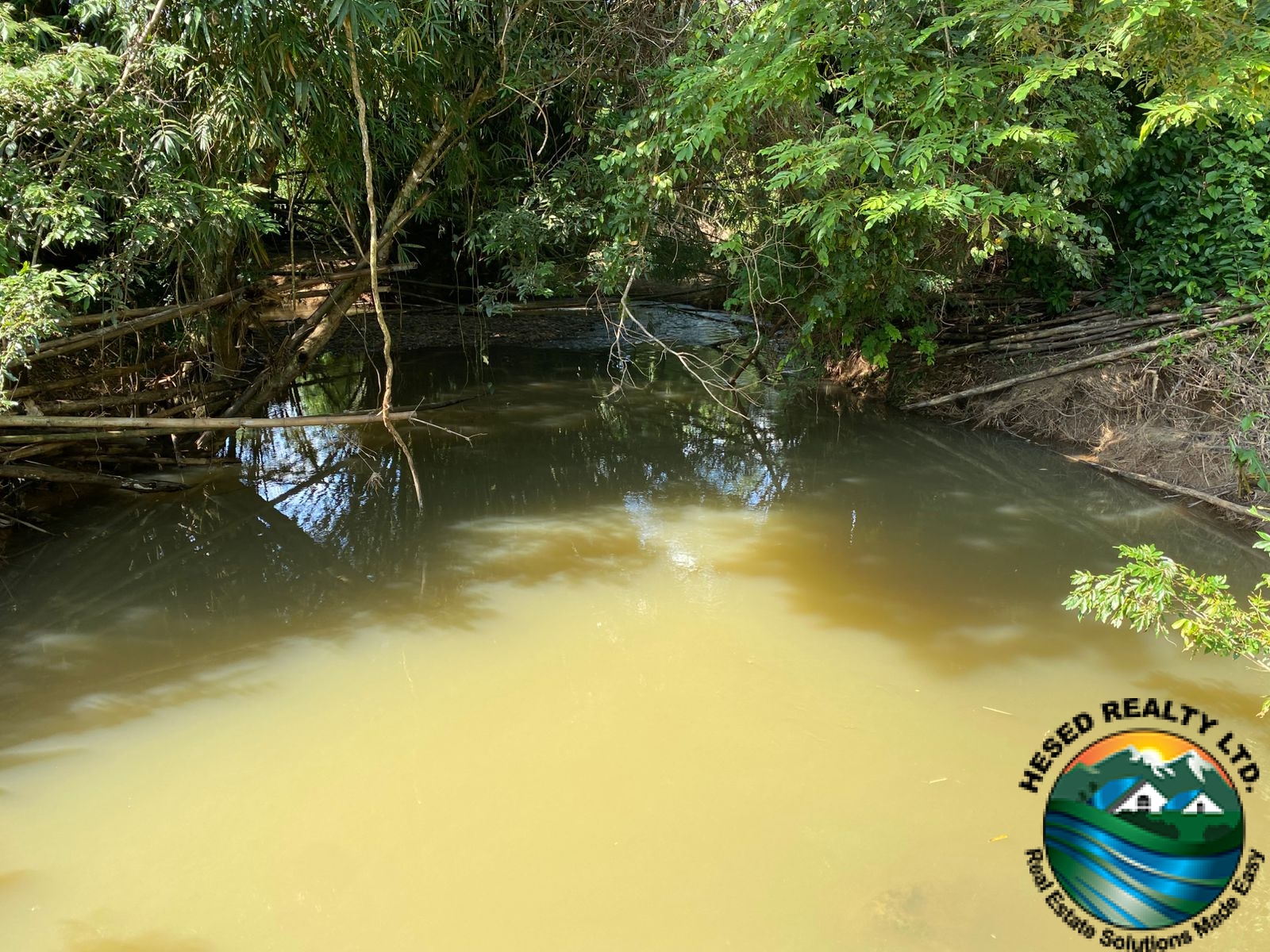 A tranquil pond surrounded by natural vegetation on the 40-acre farm.