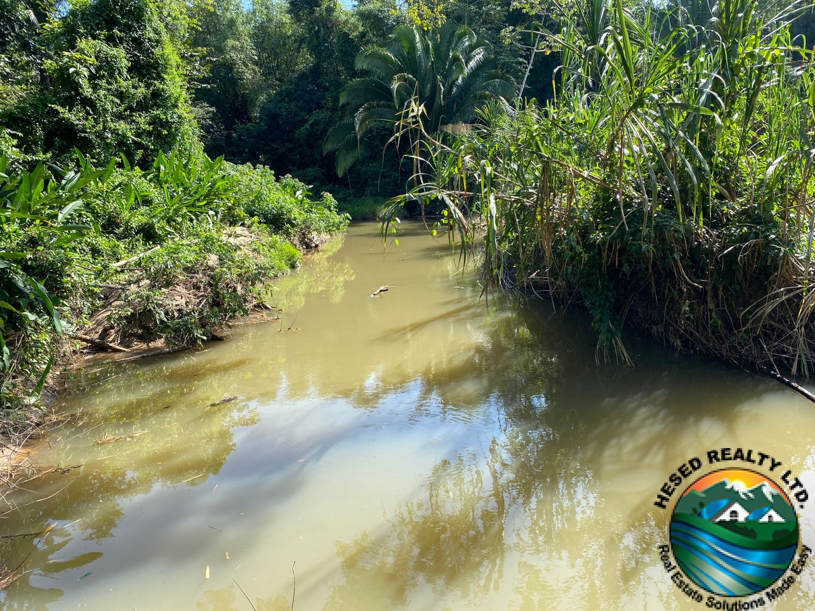 Lamb Creek flowing alongside the citrus farm, bordered by lush greenery.